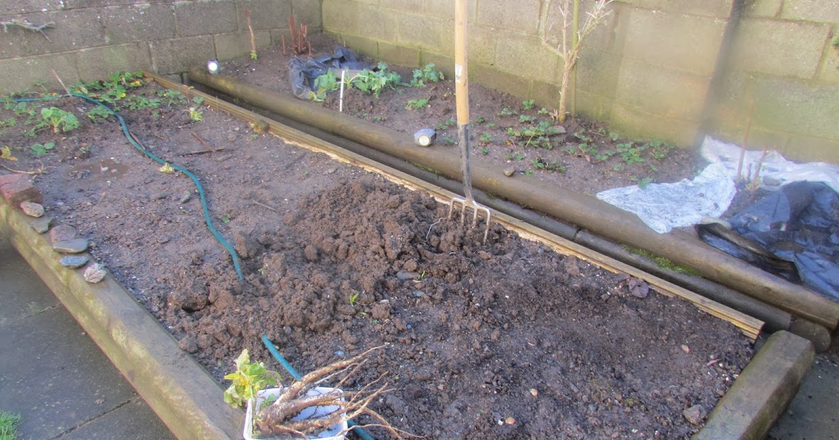 Vegetable Garden Tips : January 2017