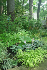 Hakone grass Halcyon hosta rodgersia in shade by garden muses-not another Toronto gardening blog