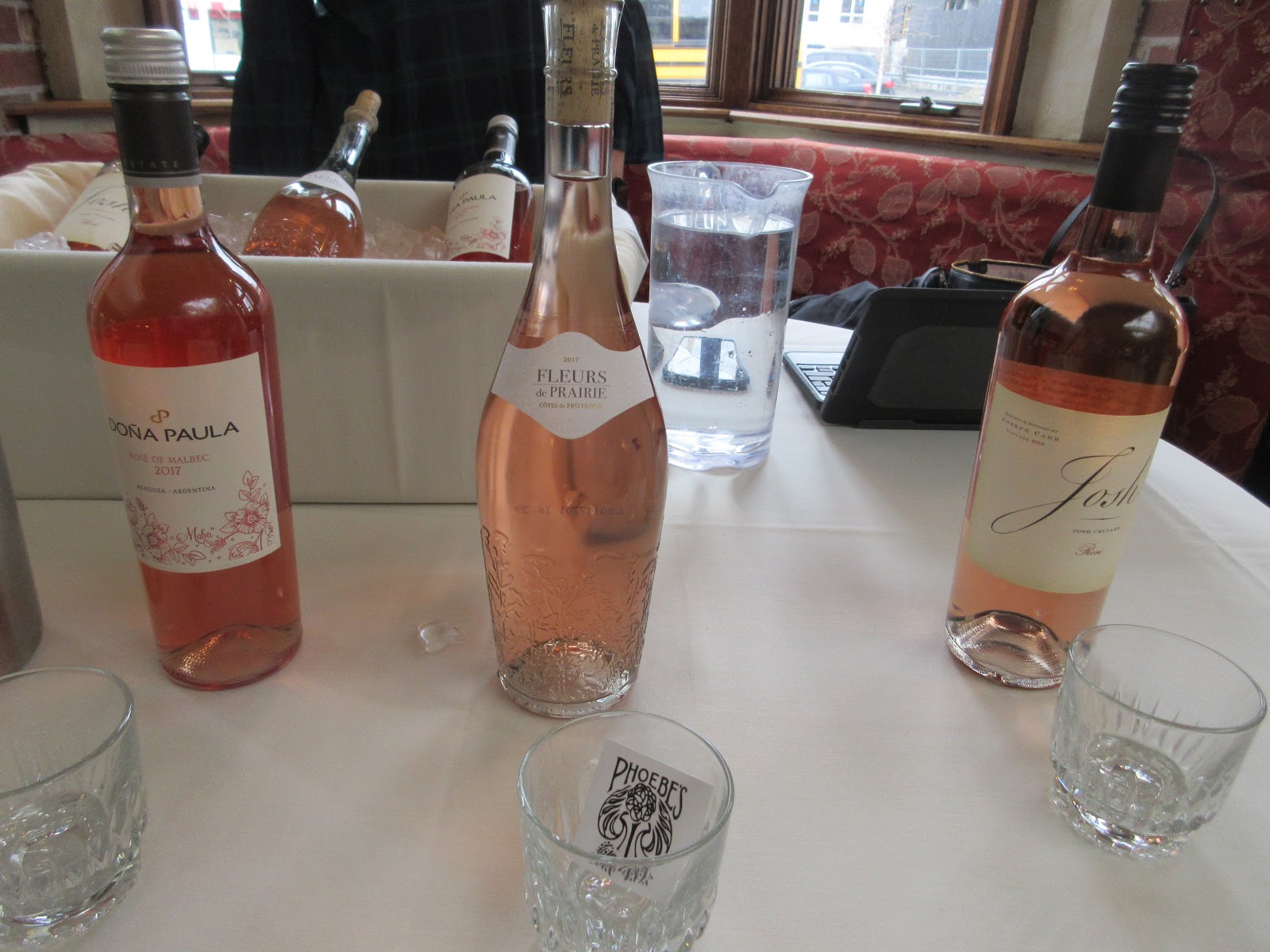 Pandora S Box Tour De Rose