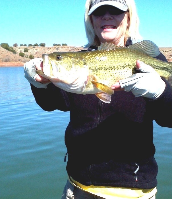 Ute Lake State Park Ute Lake Nm