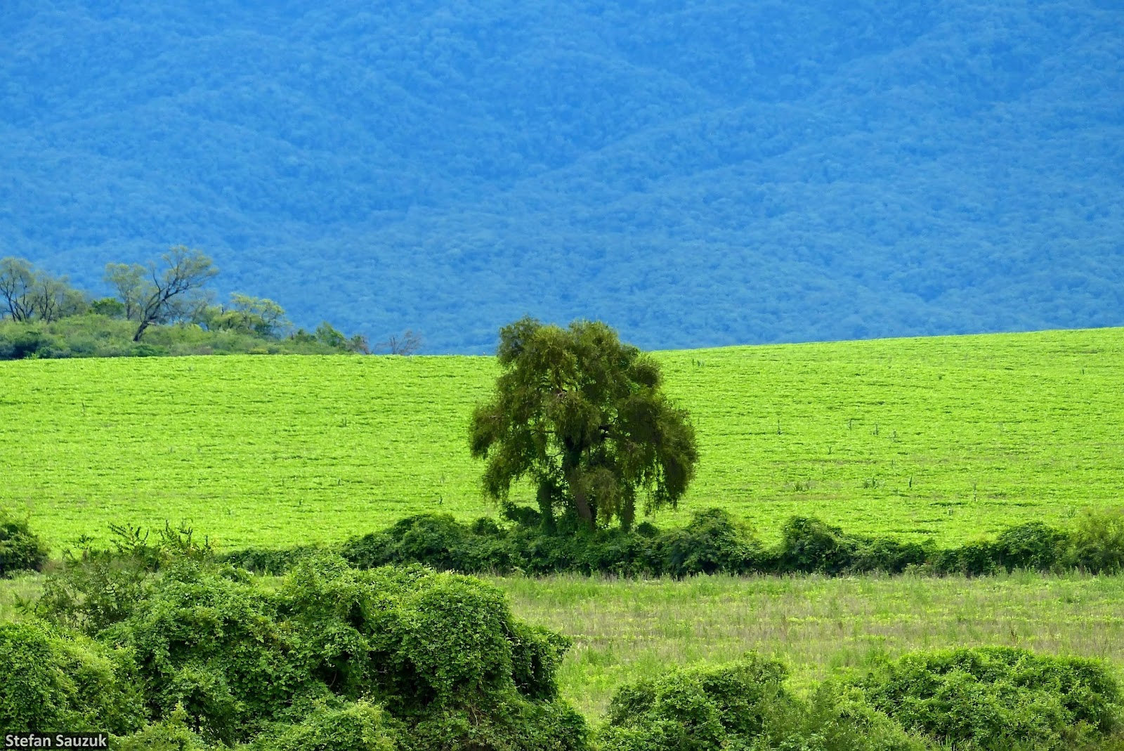 Geografía de Catamarca Manantiales, departamento Santa Rosa