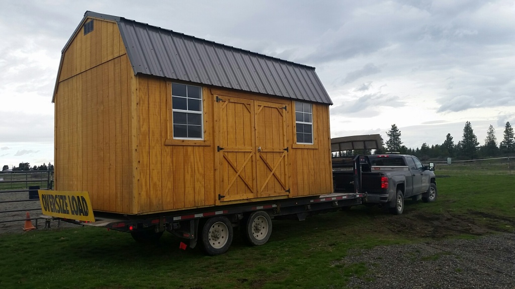 Beautiful Mustang Welcome To My Cowgirl Cave Diy Tack Room Project
