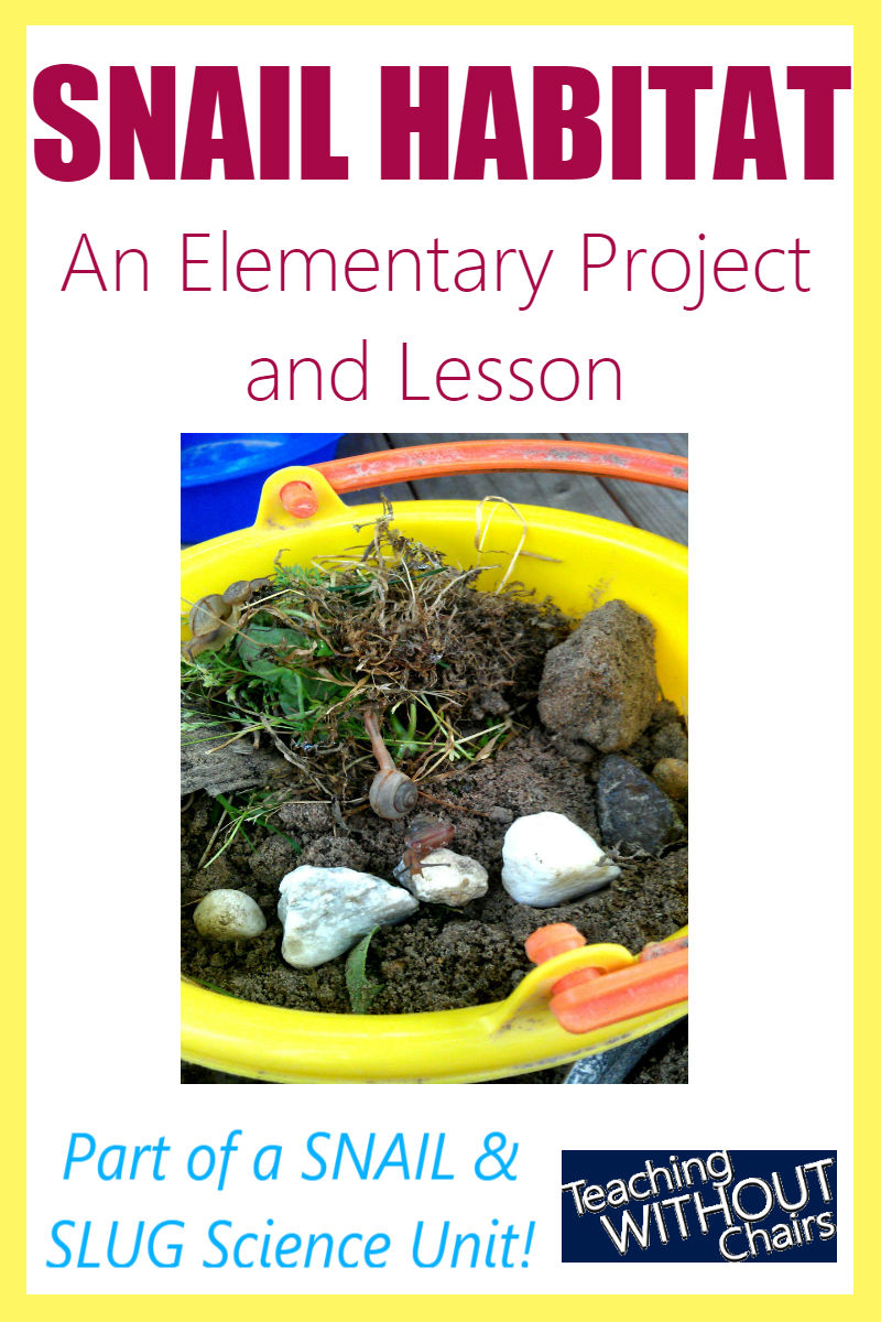 Snail Habitat Project + Snails & Slugs Homeschool Science Unit Study