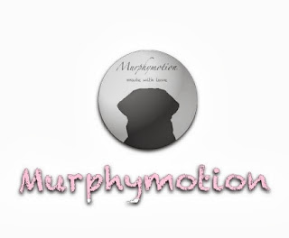 www.murphymotion.de