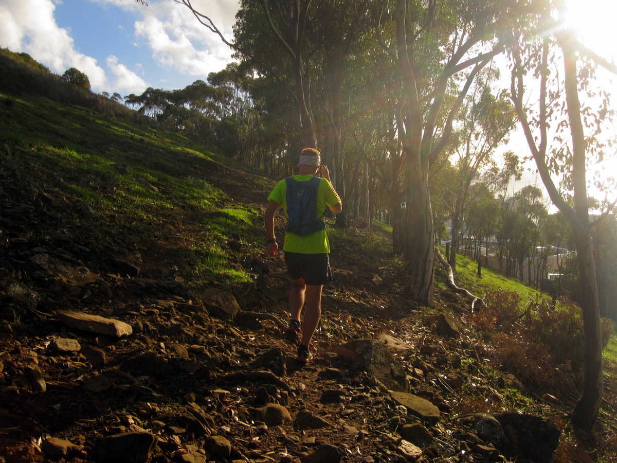 Signal Hill Trail Run