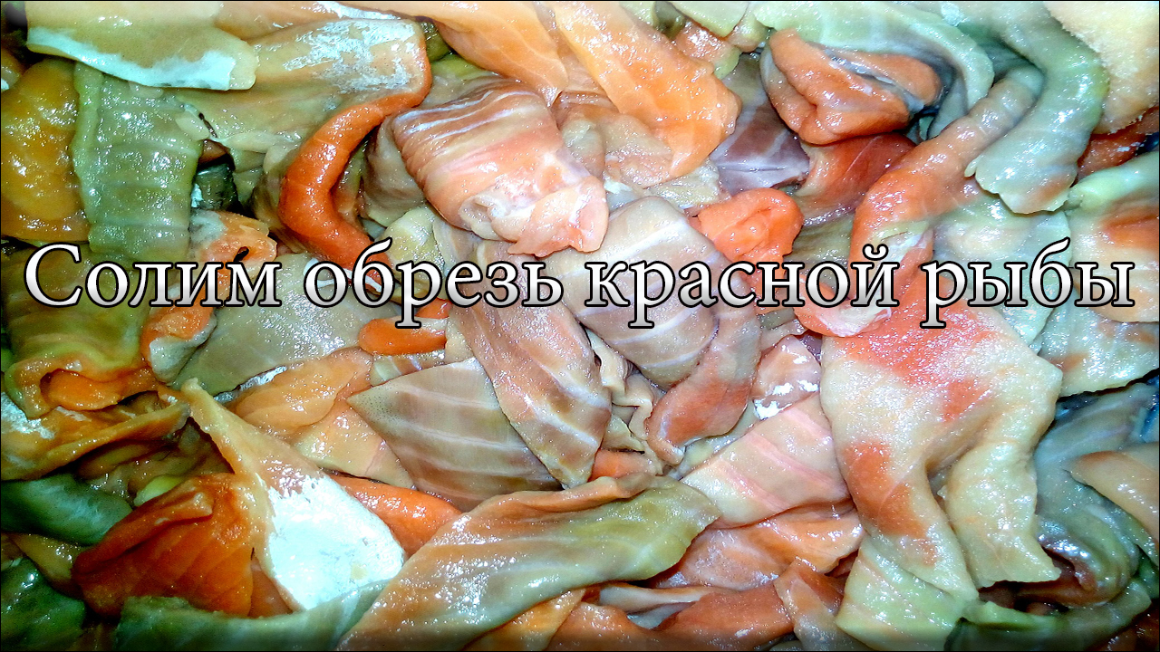 как засолить молоки форели