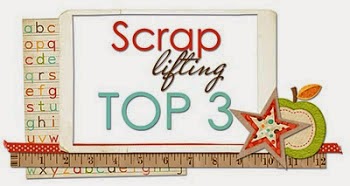 TOP3 Scrap lifting