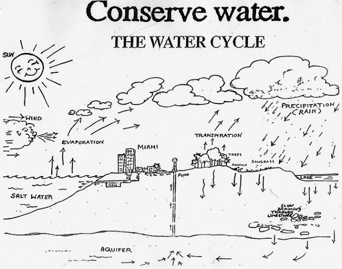 Ciclo Hidrologico Para Colorear / Documentación para la Didáctica-Libart: El Ciclo del Agua