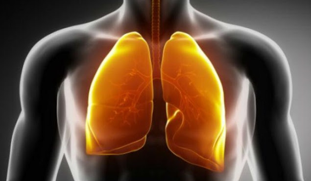 5 Keadaan yang Menunjukkan Paru-paru Anda dalam Bahaya