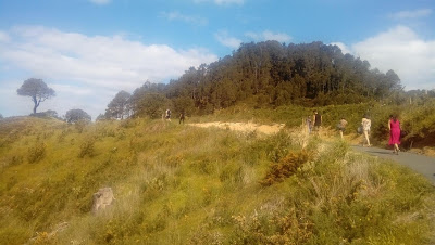 Intercâmbio Nova Zelândia - A exótica praia de Cathedral Cove em Coromandel