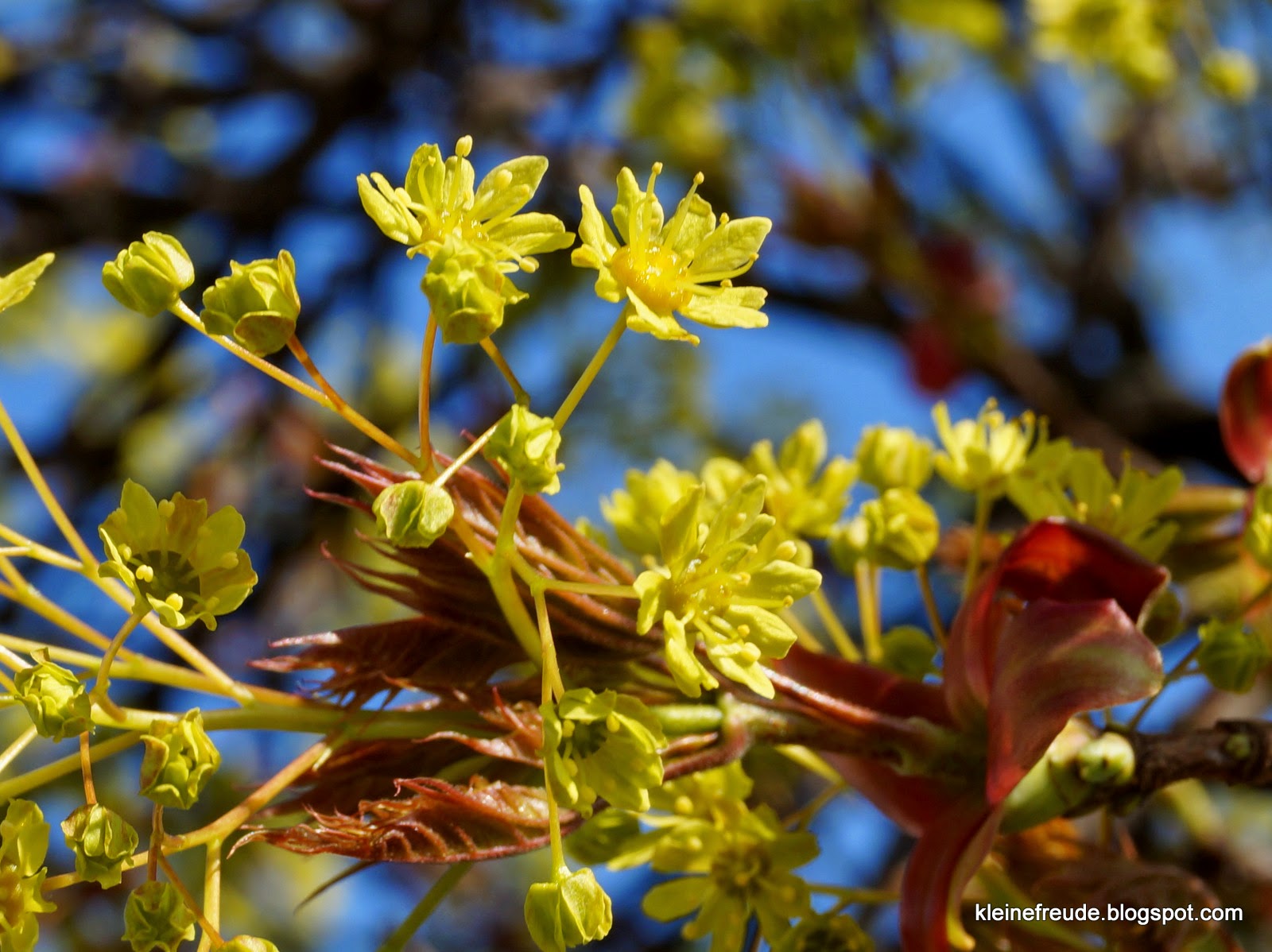 kleine freude: Das Heute ist gelb