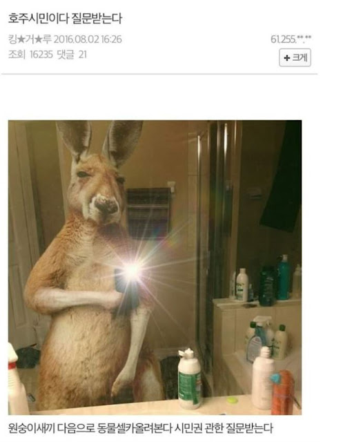 %25ED%2597%25886.JPG 허언증갤 TOP