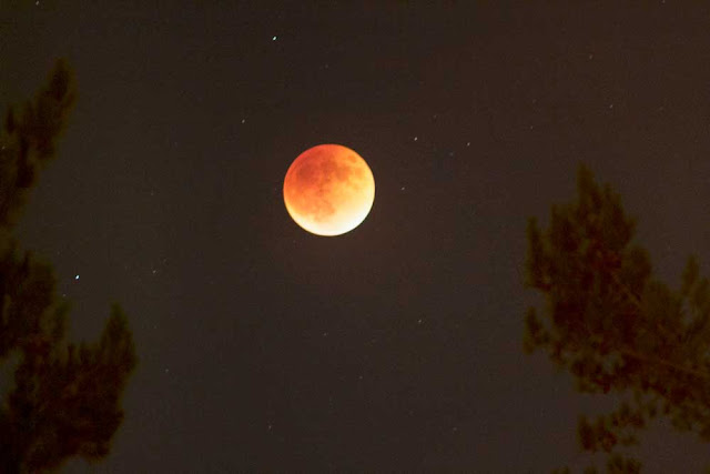 Lunar Eclipse and Blood Moon as seen from Palmia Observatory