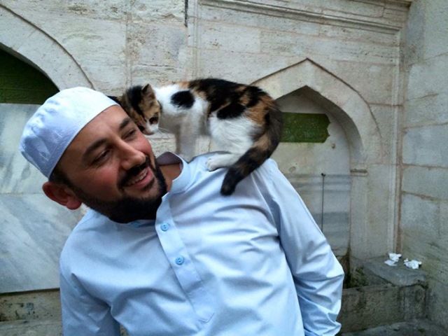 Un imán abre su mezquita a los gatos callejeros