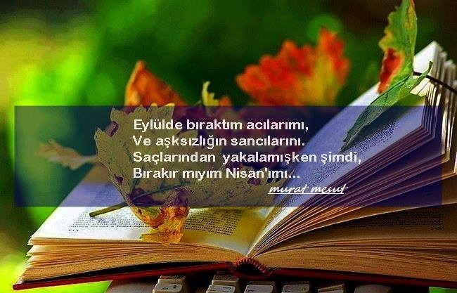 Murat Mesut: Eylül 2017