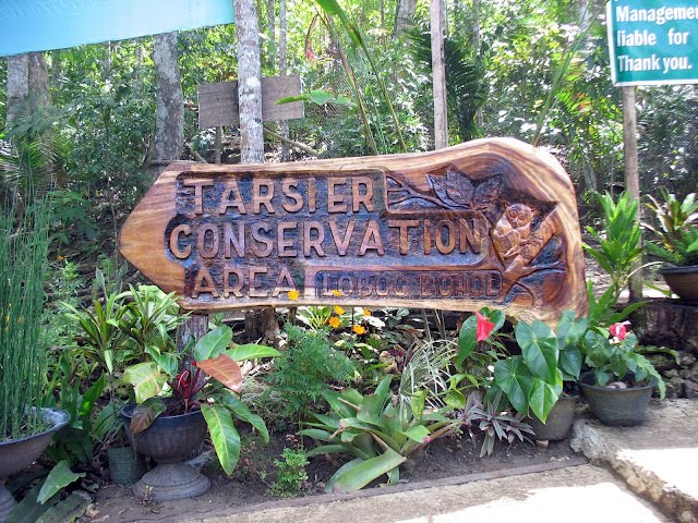 Visit BOHOL Loboc Tarsier Conservation Area visit-bohol-loboc-tarsier-conservation-area