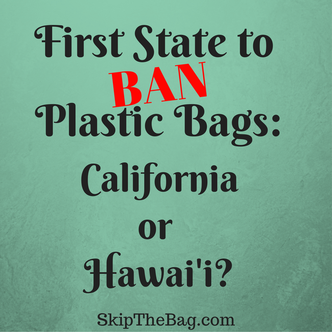 Skip The Bag First State to Ban Plastic Bags