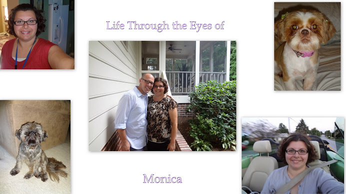 Life: Through The Eyes of Monica