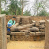 Buddhist Circuit (Jajpur and Puri - Odisha)