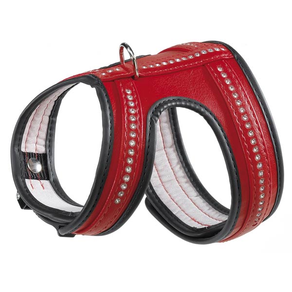 Teeny Tiny Troubles Chihuahuas & Cavaliers Dog harnesses when should you use them? Which are