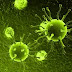 Potente Bacteria Invade Todos Los Hospitales Del Mundo.