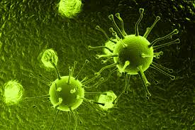 Potente Bacteria Invade Todos Los Hospitales Del Mundo. Potente Bacteria Invade Todos Los Hospitales Del Mundo.