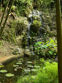 Waterfall at Orchid World Barbados by garden muses-not another Toronto gardening blog