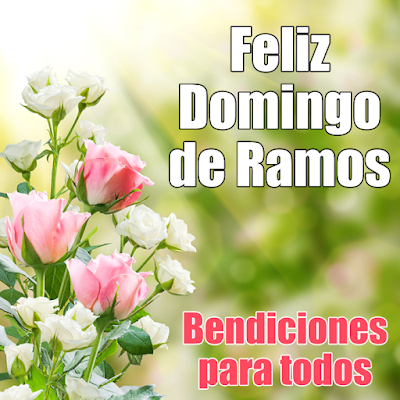 Imagenes Para Desear Feliz Domingo De Ramos | banco de im 193 genes feliz domingo de ramos postales con Imagenes Para Desear Feliz Domingo De Ramos | banco de im 193 genes feliz domingo de ramos postales con