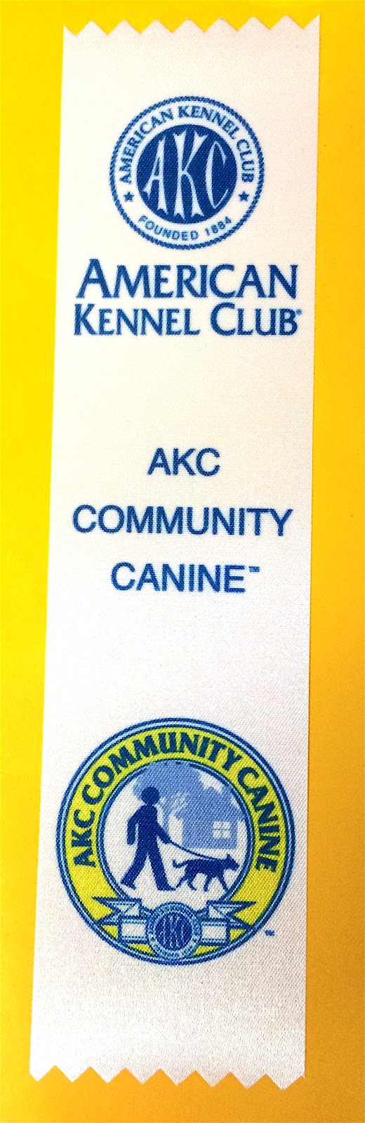 advanced canine good citizen