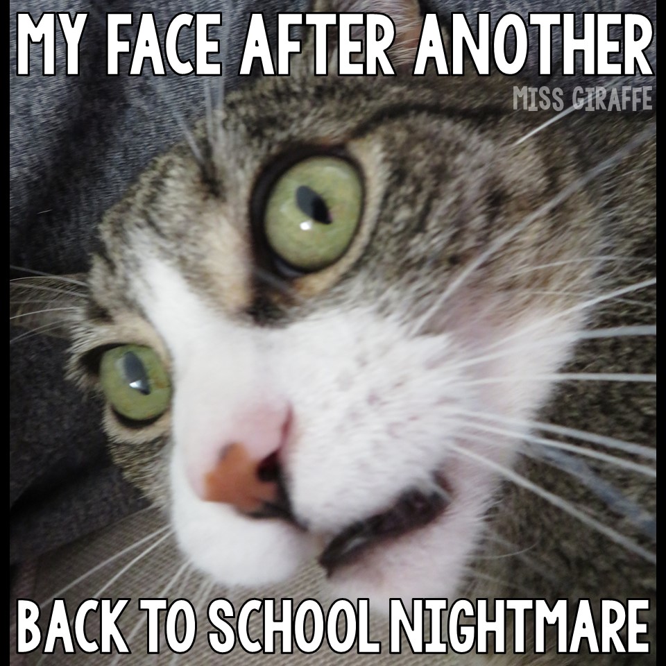 Miss Giraffe's Class Funny Cat Teacher Pictures