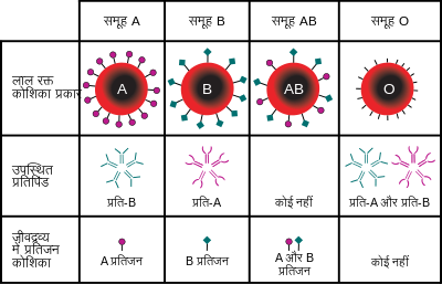 ABO blood type hi.svg - रक्त समूह (Blood Group) के प्रकार