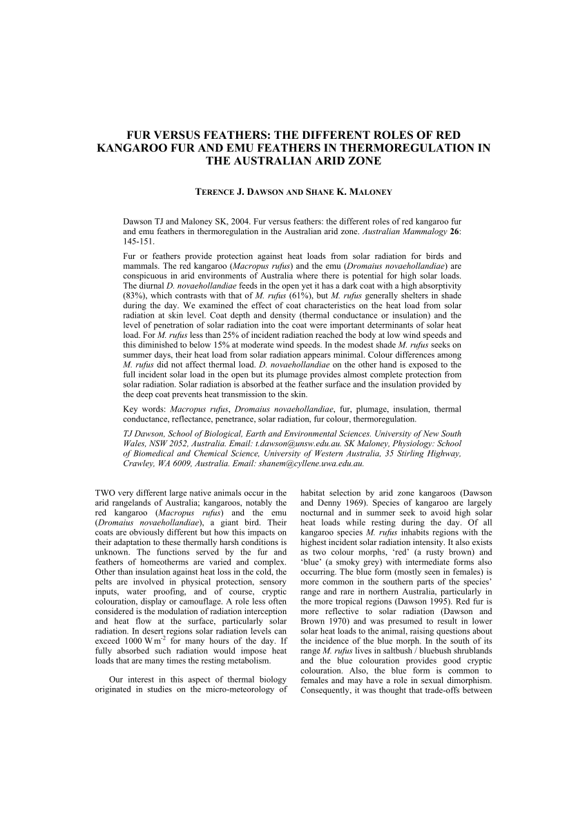 enny arrow pdf wood scribd indo enny arrow pdf wood scribd indo