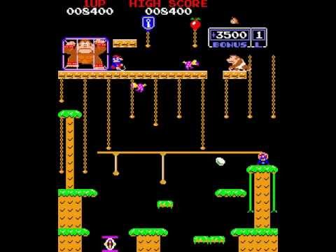 Donkey Kong Jr