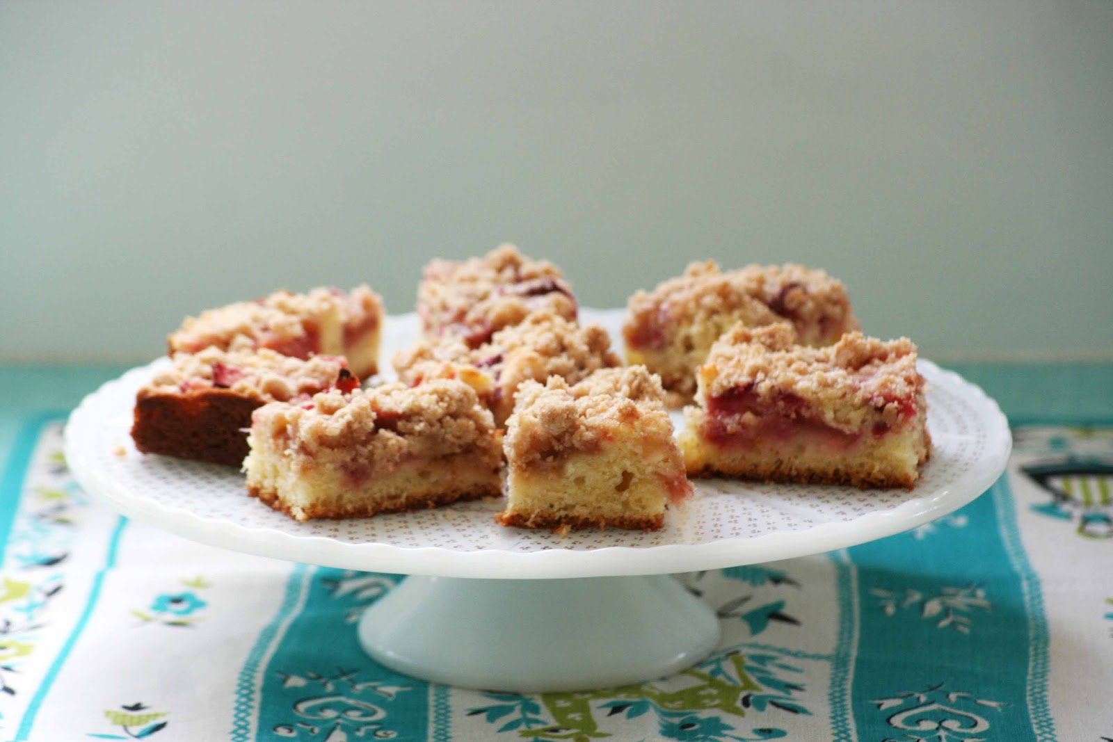Picnics in the Park Of Rhubarb Snacking Cake, Food for a Man Party