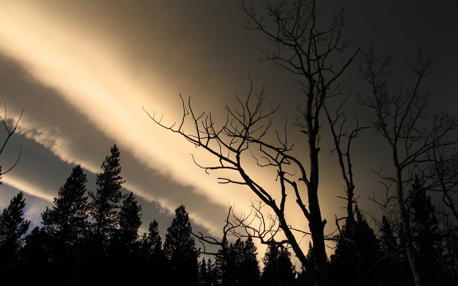 Collection HD Wallpapers | widescreen wallpaper | widescreen wallpaper