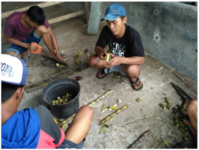 Kegiatan Mahasiswa KKN di PT. Pendawa Kencana Multi Farm Yogyakarta Kegiatan Mahasiswa KKN di PT. Pendawa Kencana Multi Farm Yogyakarta