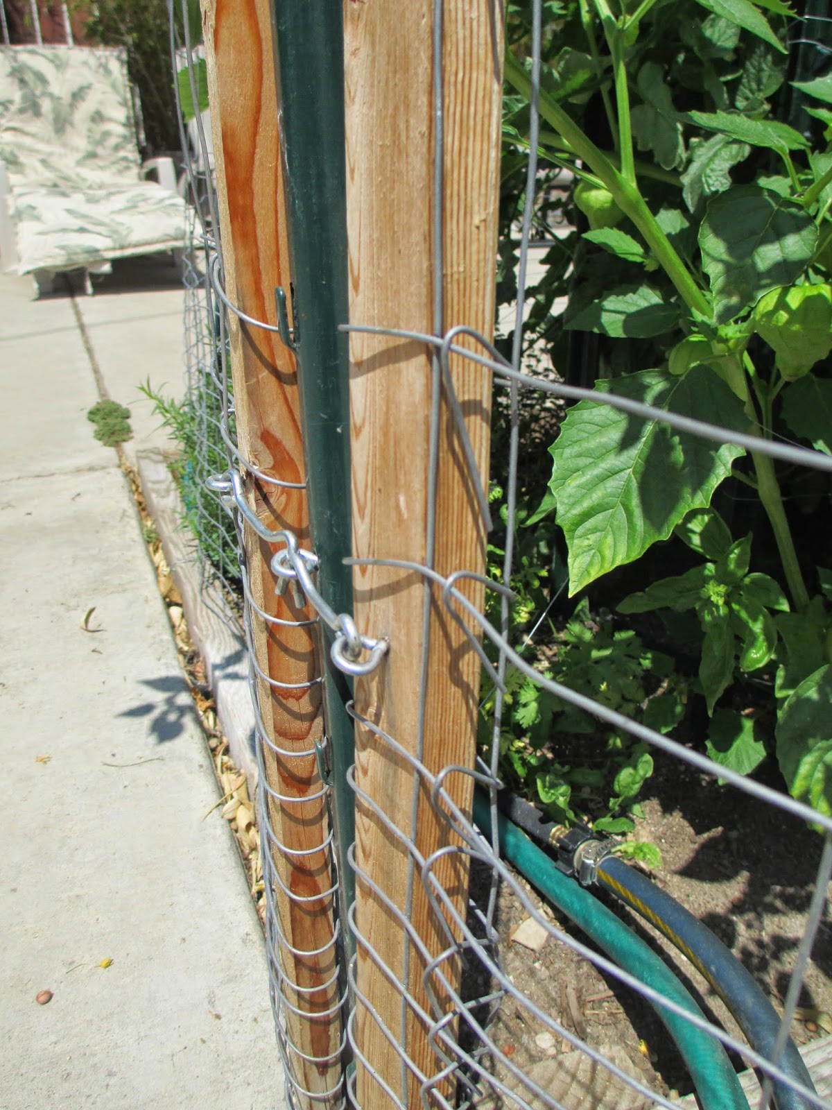 Andie's Way Fence and Simple Gates Removes Easily for Gardening