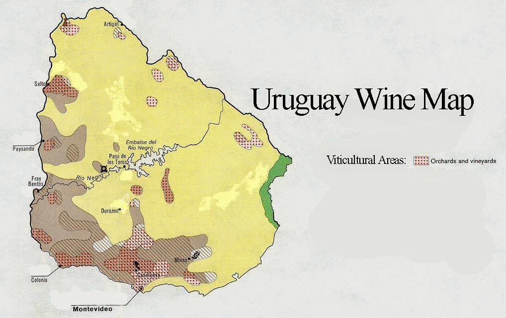 The World of Wine Review Unit 3 Day 4 South American Wines