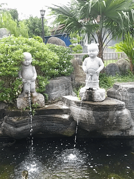 david 3816 water features ideas