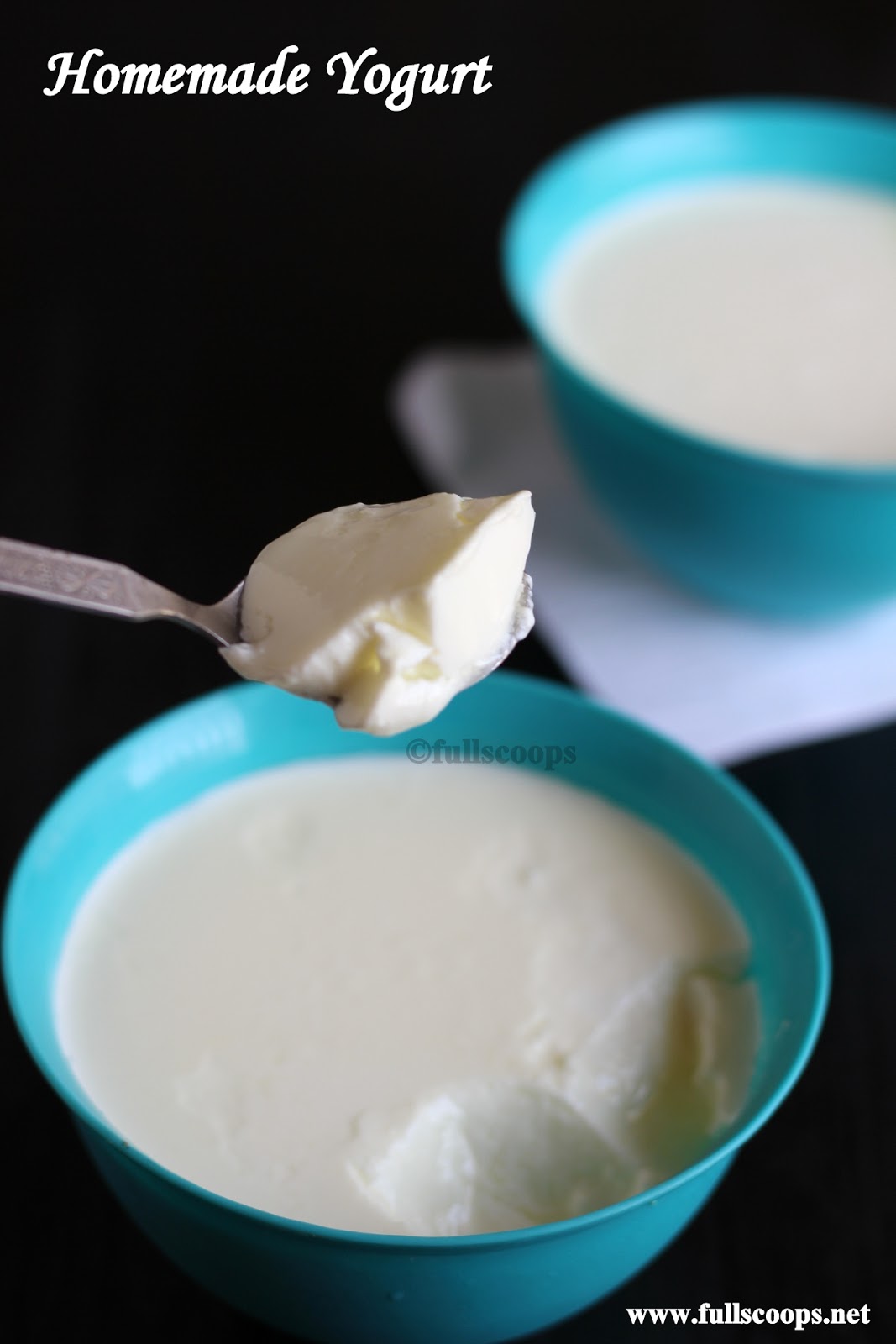 How to make thick Curd  Homemade Yogurt ~ Full Scoops - A food