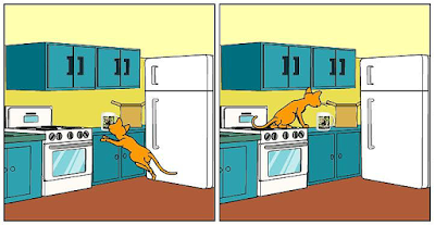 Cartoon (panel 4) of Cat Ordering Mug from Zazzle "Proud of Saving Animals" by RoseWrites
