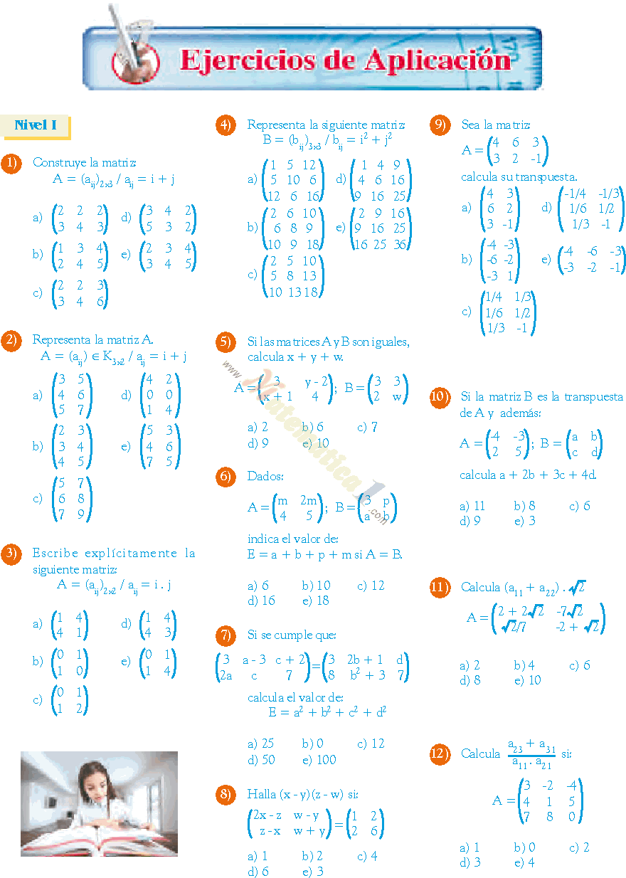 MATRICES NIVEL B SICO EJERCICIOS RESUELTOS Y PARA RESOLVER PDF
