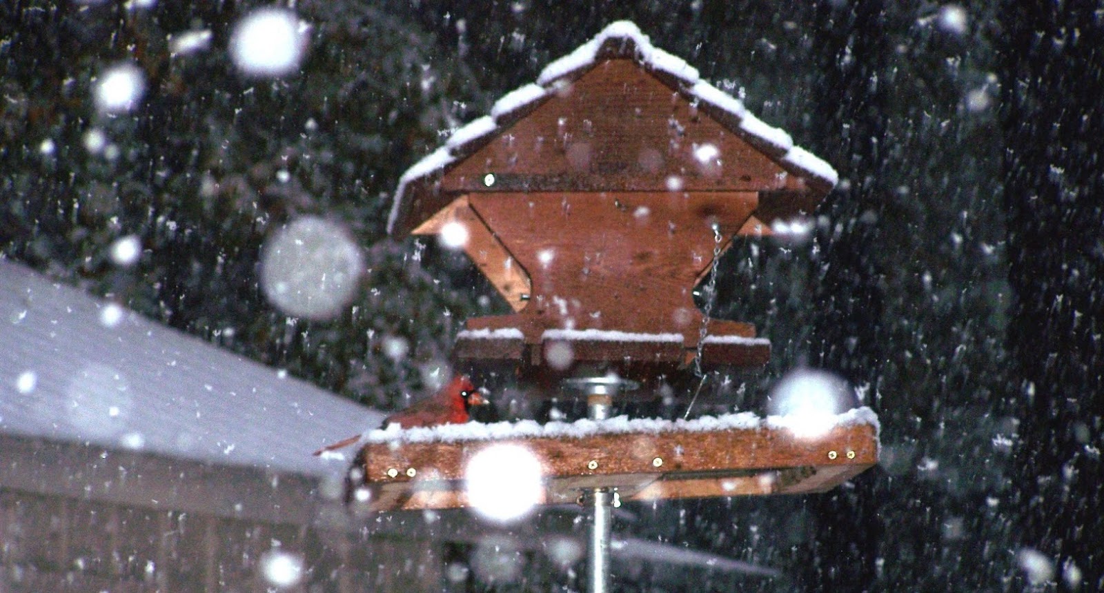 The Barthet Gallery Snow in Covington