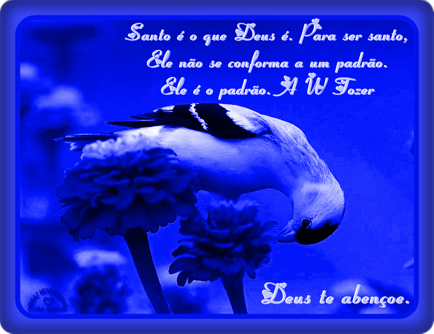 sdff.gif%E2%80%9D