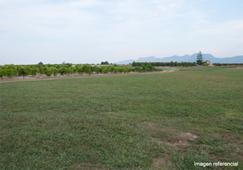 Aerdromo de Pueblo Libre de Codo