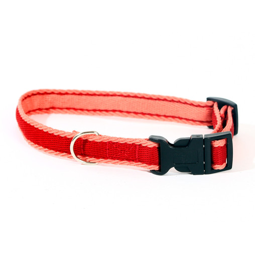 CSiGORAs HUNDbutik: januari 2012 första kurs grossistpris flera färger hundhalsband online