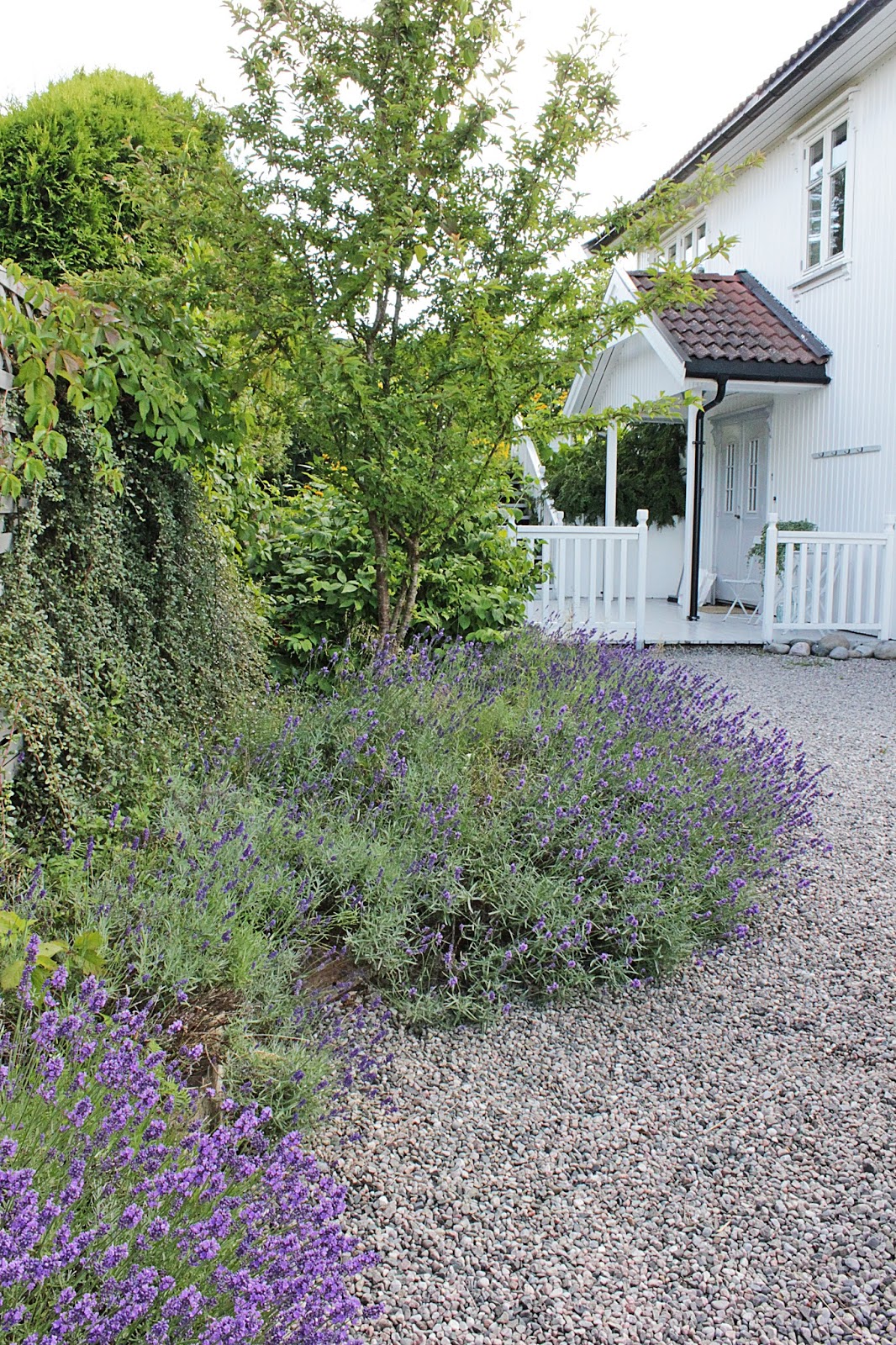 Vibeke design: duften av lavendel ! Stue lavendel