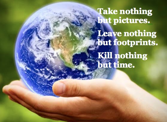 Long Live Passions: Post-fusion: Environmental Quotes!