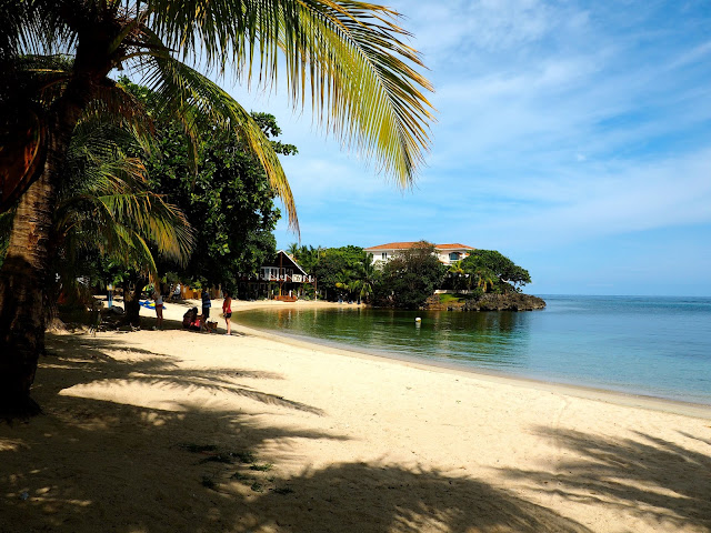 Palm trees on the beach in West End, Roatan Island, Honduras