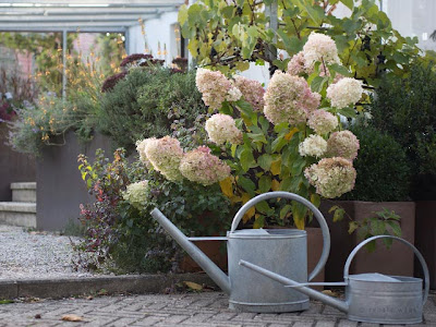 Lieblingsgehölze im Geniessergarten von Renate Waas, Landschaftsarchitektin München